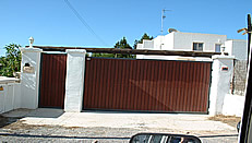 Electric security gate with side door